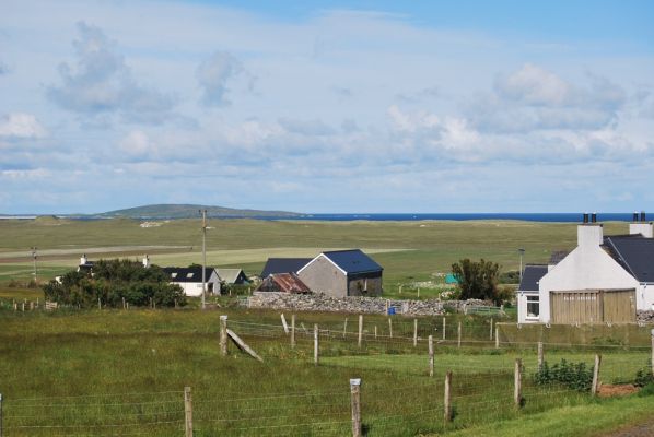 DSC_0221.JPG