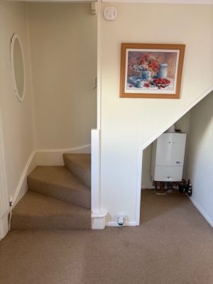 photo14.jpg