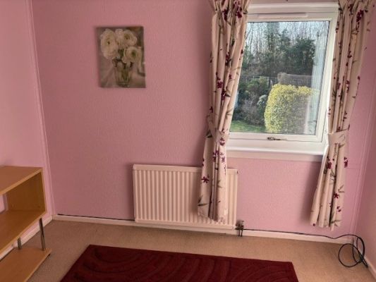 photo11.jpg